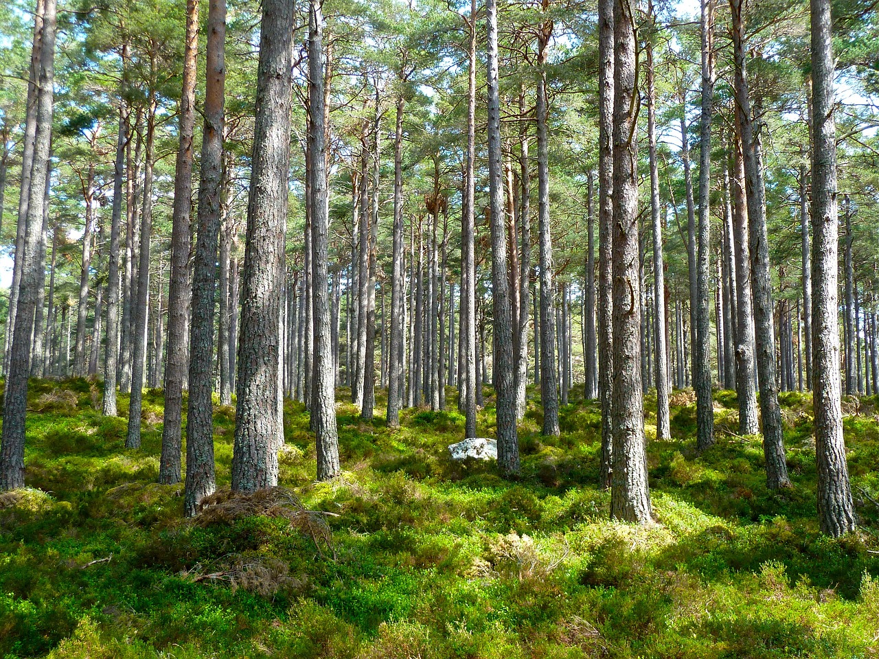matériaux durables, environnement, écologie